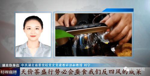 经视直播在线观看今天,精彩内容实时呈现，不容错过